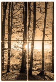 Obraz na plátne - Jesenné ráno v lese - obdĺžnik 7251FE (120x80 cm)