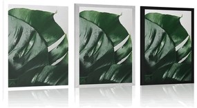 Plagát listy monstery - 60x90 silver