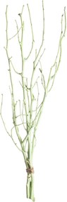Lísková vetva 50cm light green