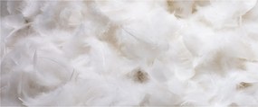 Obraz - Biele perie (120x50 cm)