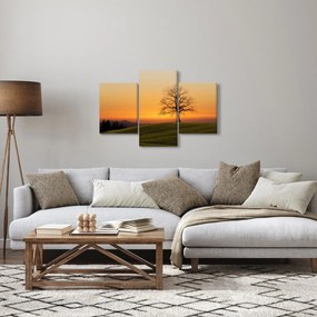 Obraz západu slnka na lúke (90x60 cm)