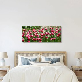 Obraz tulipánov (120x50 cm)