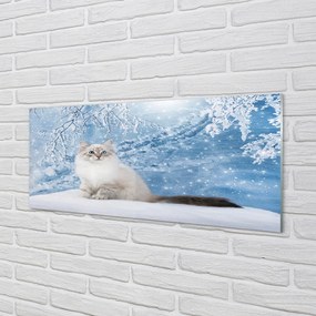 Obraz na akrylátovom skle Mačka zima 120x60 cm