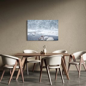 Obraz labutí (90x60 cm)