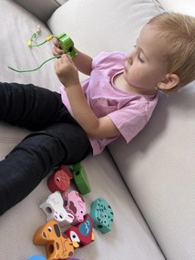 Vilac – Prevliekanie – domáce zvieratá