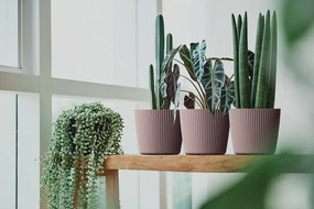 Kvetináč MILLA ROND - výber z 8 prevedení