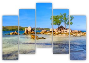 Panorama exotiky, obraz