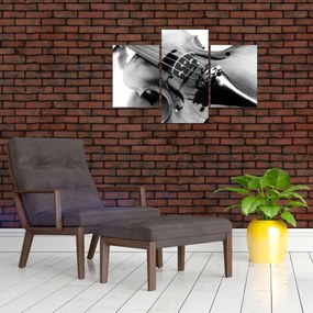 Obraz - Husle (90x60 cm)
