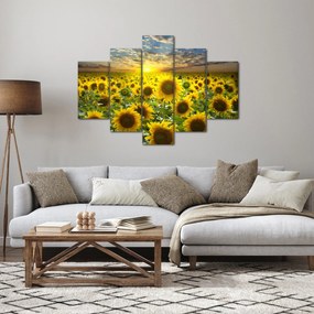 Obraz - Slnečnica pri západe slnka (150x105 cm)