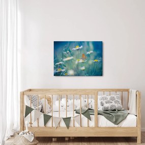 Obraz - Motýľ na sedmokráske (70x50 cm)