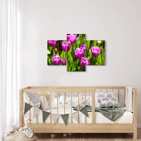 Obraz tulipánov na lúke (90x60 cm)