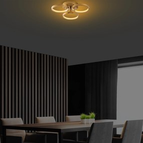 Halka-13311