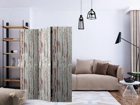 Artgeist Paraván - Inspired by the Forest [Room Dividers]