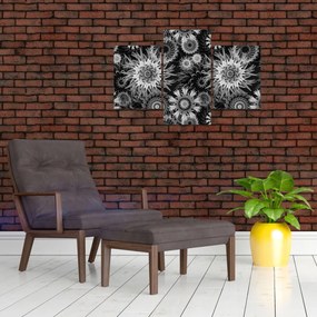 Obraz - Čiernobiele bodliaky (90x60 cm)
