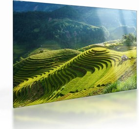 Sklenený obraz - Koncert ryžových terás (70x50 cm)