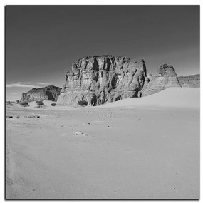 Obraz na plátne - Cesta v púšti - štvorec 3129QA (80x80 cm)