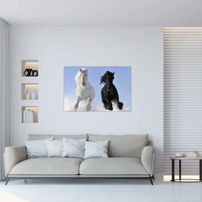 Obraz - Kone v zime (90x60 cm)