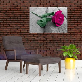 Obraz - Ružová ruža so zelenou stonkou (90x60 cm)
