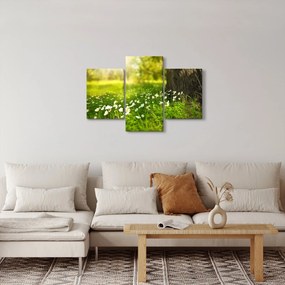 Obraz paseky a kvetín (90x60 cm)