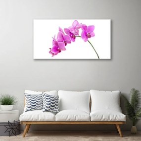 Skleneny obraz Vstavač kvet orchidea 100x50 cm 2 Prívesky