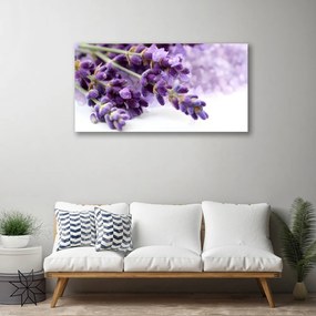 Obraz Canvas Kvety príroda rastlina 125x50 cm
