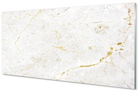 Obraz plexi Marble kamenný múr 120x60 cm