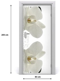 Fototapeta samolepiace Orchidea a kamene 85x205 cm