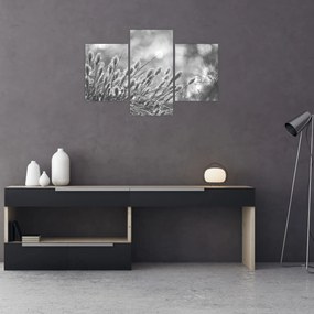 Obraz - Béžová soft grass N⁰1 (90x60 cm)