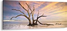 Obraz stromu v oceáne (120x50 cm)