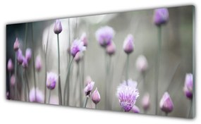 Obraz plexi Poľné kvety lúka príroda 125x50 cm