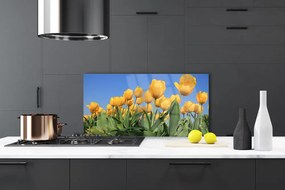 Sklenený obklad Do kuchyne Tulipány kvety rastlina 100x50 cm