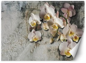 Gario Fototapeta Kvitnúce orchidey na pozadí starej steny Materiál: Vliesová, Rozmery: 150 x 105 cm