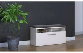 Veľká skrinka na topánky so sedadlom RIVA biela