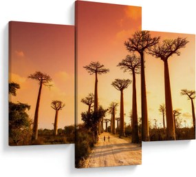 Obraz - Západ slnka v uličke Baobab (90x60 cm)