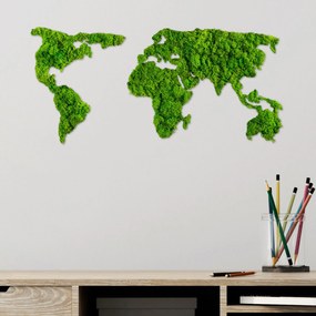 World Map