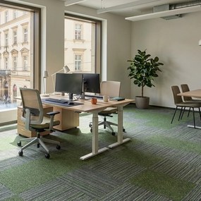 Tapibel, Kobercový štvorec Coral Lines 60376-50 zeleno-šedý 50 x 50 cm, chodba / predsieň