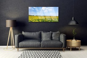 Obraz na skle Púpava príroda 140x70 cm