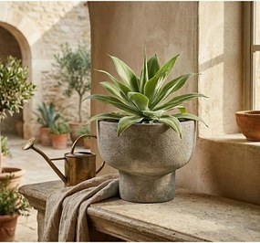 Terakotový kvetináč ø 30 cm Hector – Bizzotto