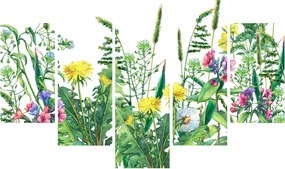 Obraz - Maľované lúčne kvety (150x105 cm)