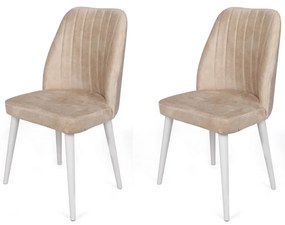 Súprava jedálenských stoličiek Alfa Beige and White, 2 ks