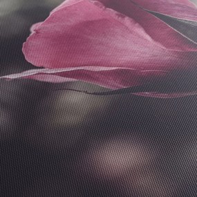 Obraz - Detail kvetu ruže (s hodinami) (90x30 cm)