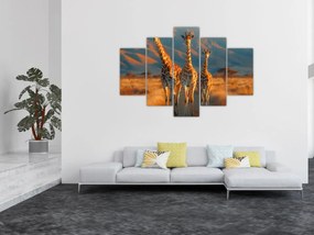 Obraz - Žirafy na pastvine (150x105 cm)