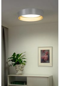 Duolla - LED Stropné svietidlo ROLLER LED/24W/230V pr. 45 cm strieborná/zlatá