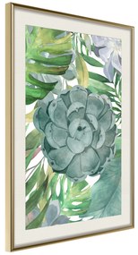 Artgeist Plagát - Tropical Flora [Poster] Veľkosť: 20x30, Verzia: Čierny rám s passe-partout