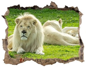 Samolepící díra nálepka Béžové levy nd-k-93716692