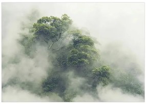 Samolepiaca fototapeta - Foggy Amazon Veľkosť: 294x210, Verzia: Samolepiaca