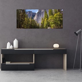 Obraz - Pod Yosemite skalou (120x50 cm)