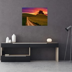Sklenený obraz poľa a farebného neba (70x50 cm)