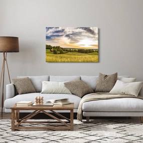Obraz krajiny (90x60 cm)