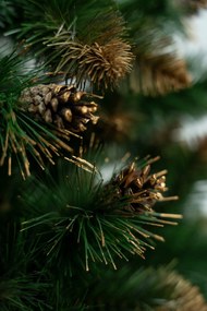 Limpol Borovica Verona zlatá 150 cm